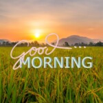 Good Morning Nature Image