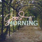 733133866 Good Morning Nature Images