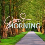 Good Morning Nature Image
