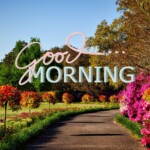 Good Morning Nature Image
