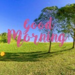 Good Morning Nature Image