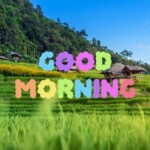 Good Morning Nature Image