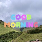 Good Morning Nature Image