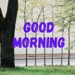 Good Morning Nature Image