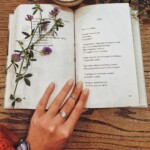 100+ High Quality Open Book Images 1 Open Book Images