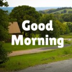 Good Morning Nature Image