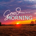 Good Morning Nature Image
