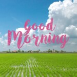 Good Morning Nature Image