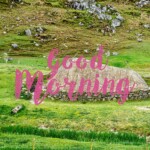 Good Morning Nature Image