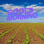 Good Morning Nature Image