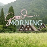 Good Morning Nature Image