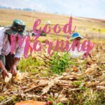 Good Morning Nature Image