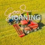 Good Morning Nature Image