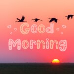 Good Morning Nature Image
