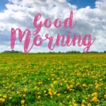 Good Morning Nature Image