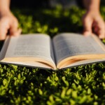 100+ High Quality Open Book Images 16 Open Book Images