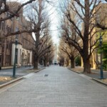 Inside The University of Tokyo Campus