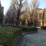 100+ Best Collection of Street Photos for Free Download 1 Inside The University of Tokyo Campus