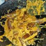 Homemade Food Images -Baingan ki Sabji home cooked meals