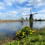Windmill Countryside Rural image
