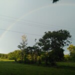 Natural Scenery - A beautiful sunset in rural backdrop