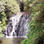 a beautiful waterfall in a jungle