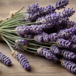 100+ Beautiful Pictures of Flowers, Free Download 69 a bunch of lavender flowers