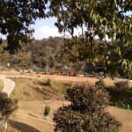 a picnic spot