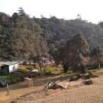 a picnic spot