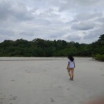 beach walk