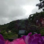 beautiful scene