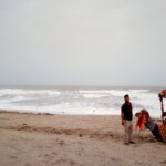 camel ride on the ocean beach