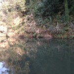clear waters