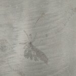 footsteps on the beach