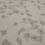 footsteps on the beach