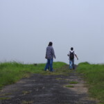 friends walking in meadows