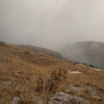 grassland