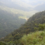 green hills