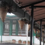 home stay inn