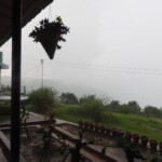 home stay