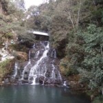 jungle streams