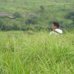 man sitting in the grasses