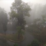 mist scenic view