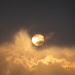 moon night