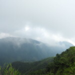 nature's lap