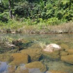 pristine waters