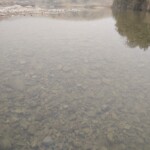 pristine waters