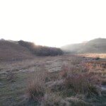 scenic grassland
