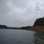 still waters in a river