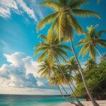 vibrant-beach-island